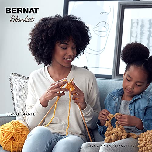 Bernat Blanket Yarn, Super Bulky Chenille Yarn in Pale Gray, 300g Ball