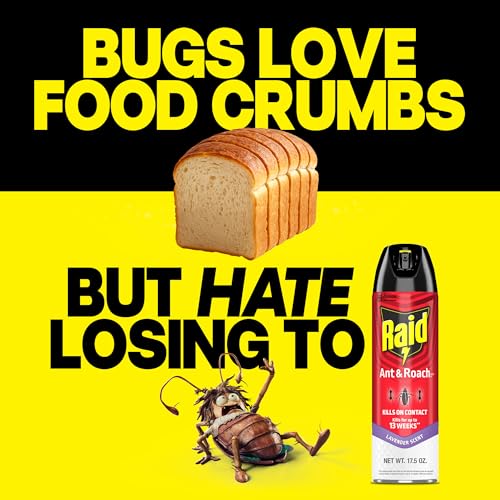 Raid Ant & Roach Killer Spray Lavender Scent 17.5 oz - Residual Insect Control