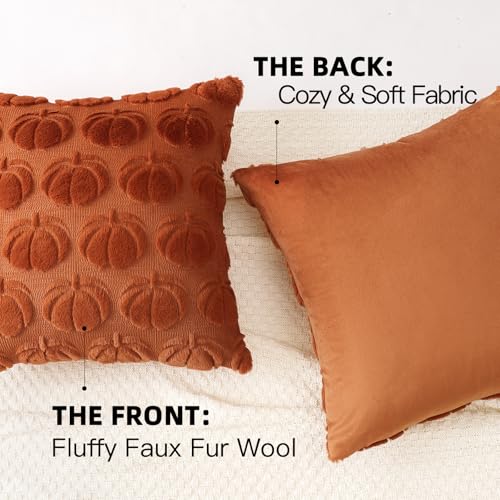 OTOSTAR Pumpkin Fall Pillow Cover 20x20 Inch Rust Plush Faux Fur