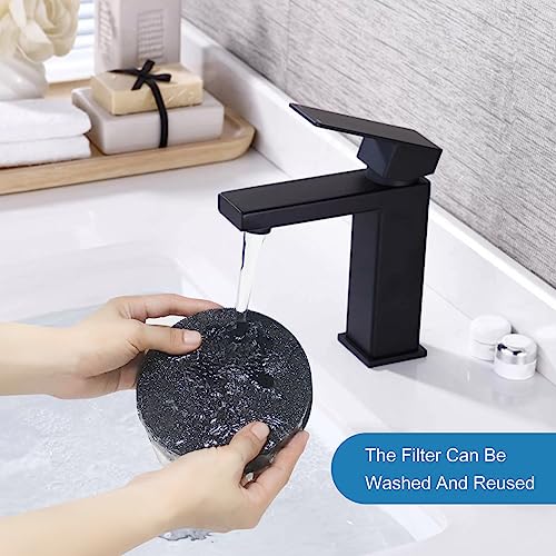 Bissell CleanView Replacement Vacuum Filters (2 Pack) - Fits Models 3533, 3313, 3534, 3333, 3335, 3536, 3675, 3676