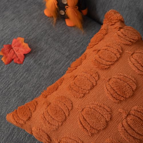 Fall Pillow Covers Set of 2 | 18x18 Rust Pumpkin Plush Cases