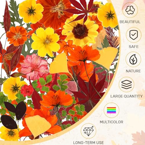 Fall Dried Pressed Flowers and Leaves for DIY Crafts - 72 Pieces