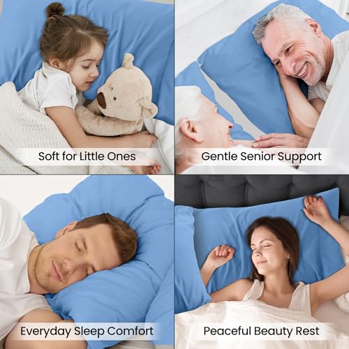 Queen Pillow Cases Set of 4 - Ultra Soft Dutch Blue Covers