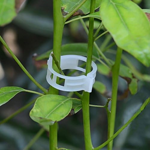 Skiennix Plant Support Clips - 100PCS Garden Clips for Tomatoes, Vines & Trellis - Durable Fastening Tools