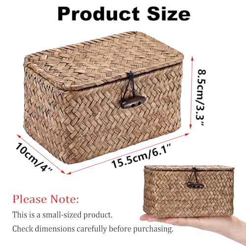 Hipiwe Handwoven Seagrass Basket with Lid - Mini Storage Organizer