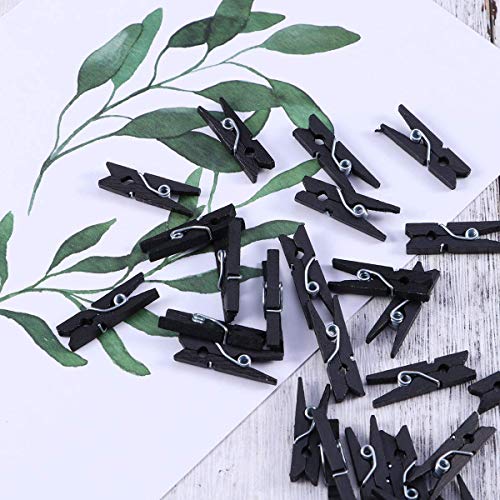 Black Wooden Clothes Pins - 100pcs Mini Clothespins with Jute Twine