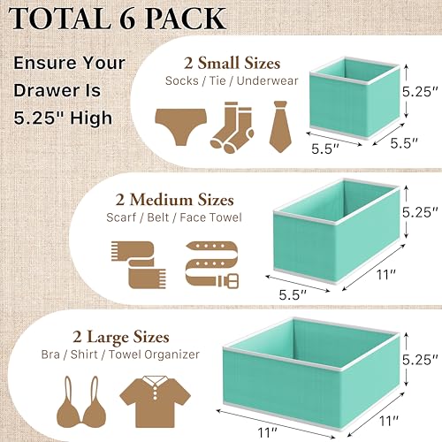 Underwear Drawer Organizer Set of 6 - 2L/2M/2S, Turquoise