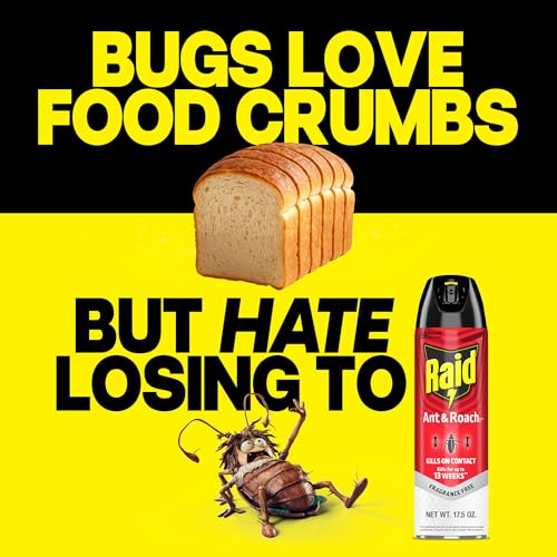 Raid Ant & Roach Killer 26, Fragrance-Free Insect Spray, 17.5 Oz (2 Pack)