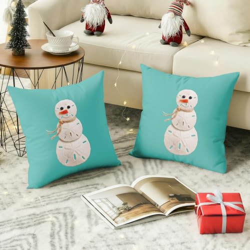 Emvency Snowman Sand Dollar Throw Pillow Cover 18x18