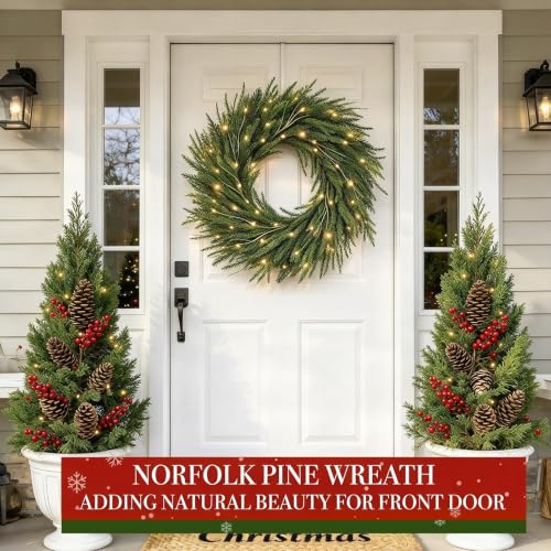 24-Inch Pre-Lit Christmas Wreath with 50 LED Lights for Front Door