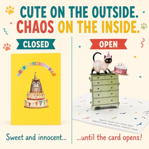 Siamese Cat Pop Up Birthday Card - Funny 3D Cat Lover Greeting Card (5x7)