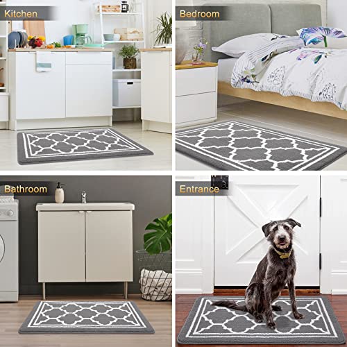 Buganda Indoor Doormat, Anti-Slip Low Profile Entryway Rug - 32x20, Grey