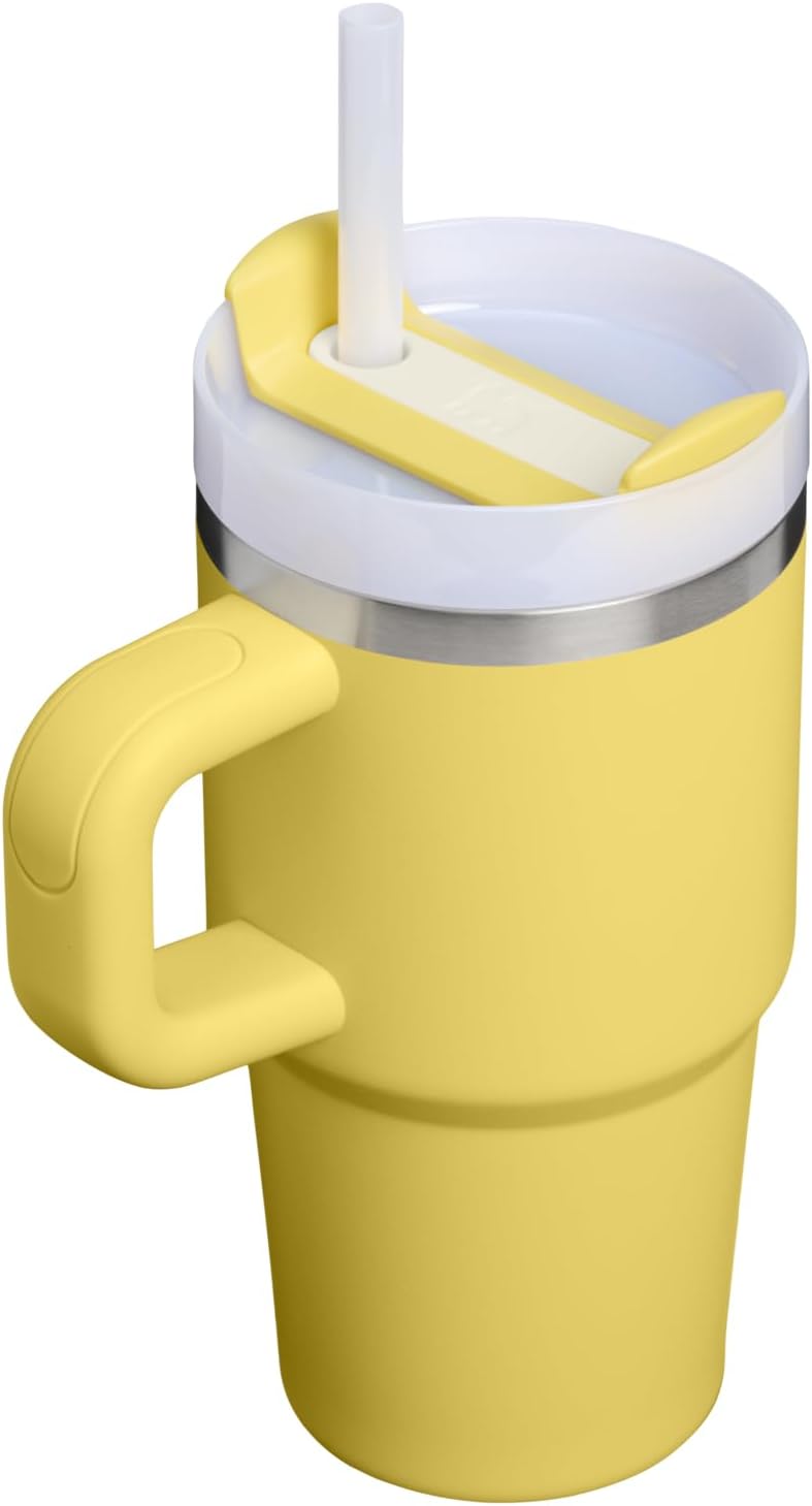STANLEY Quencher H2.0 Tumbler - Insulated 20 oz Stainless Steel Cup with Handle & Straw | Daffodil Color