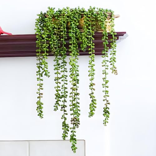 Artificial String of Pearls Plant - 3pcs Faux Hanging Succulents