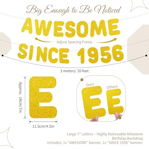 70th Birthday Banner Decorations - Awesome Since 1956, Pre-strung