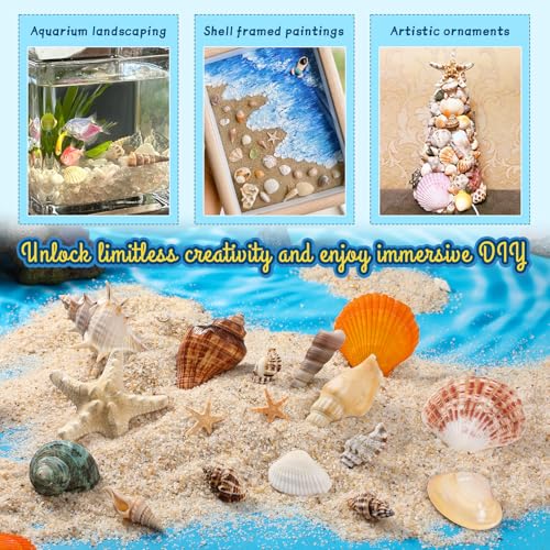 Natural Seashells and Starfish Set for Crafts - 60 Assorted Pieces