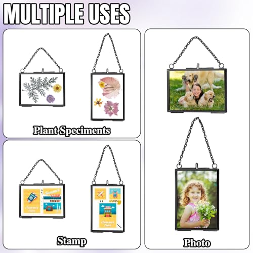 Black 20 Pcs Double Glass Frame for Pressed Flowers & Photos - Versatile Display