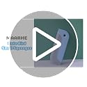Mini Squeegee Set - 3 Pack Bird-Shaped Window & Shower Cleaners