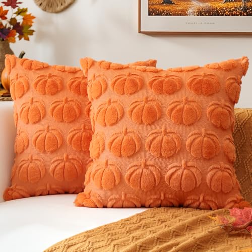 OTOSTAR Fall Pumpkin Throw Pillow Covers, 20x20 Inch Orange Set of 2