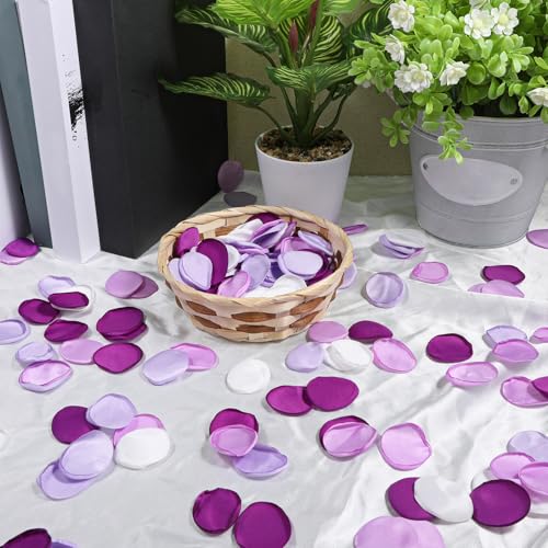 200Pcs Purple & White Silk Rose Petals for Weddings & Decor