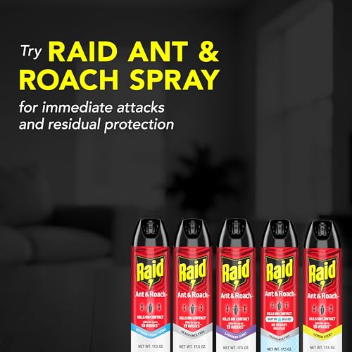 Raid Ant & Roach Killer Spray, Lavender Scent, 17.5 oz (Pack of 2)