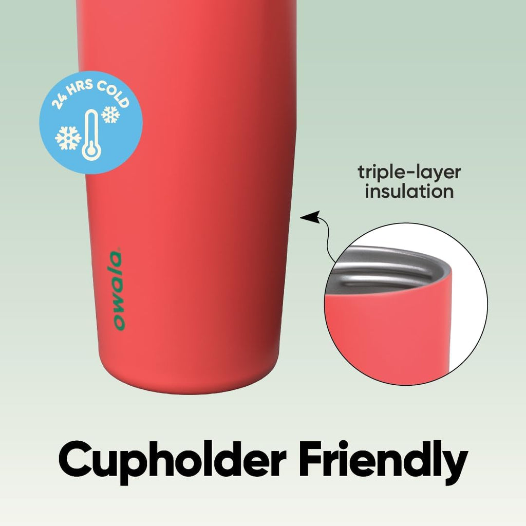 Owala FreeSip Sway Insulated Stainless Steel Water Bottle - 30oz, Two-Way Spout, BPA Free, Strawberry Fields