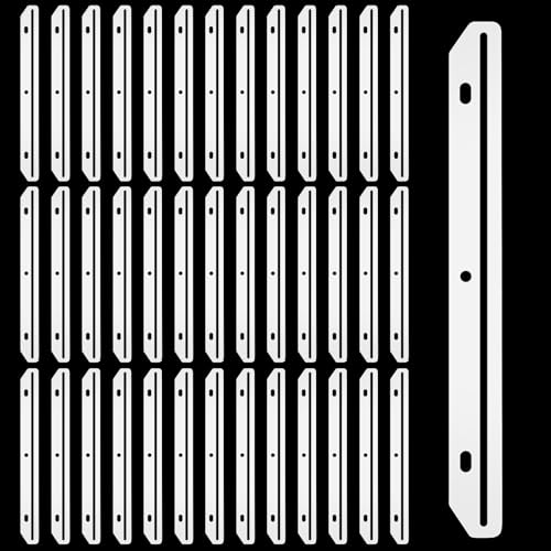 40 Pcs Magazine Holders for 3-Ring Binders - Translucent White
