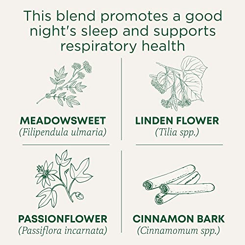 Organic Cold Care PM Herbal Tea for Sleep & Respiratory Health - 32 Bags