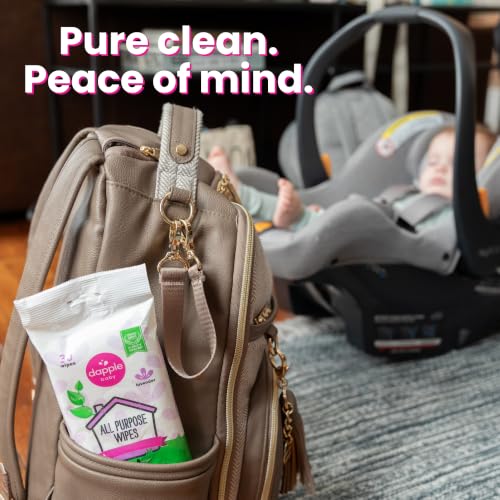 Dapple Baby All-Purpose Cleaning Spray & Wipes - 2 Pack