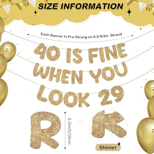 40 Is Fine When You Look 29 Birthday Banner - Glitter Decor