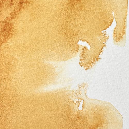 Winsor & Newton Professional Watercolor Half Pan - Raw Sienna