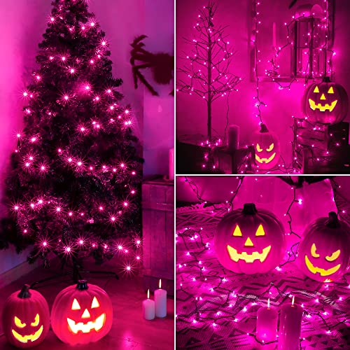 Purple Halloween Mini String Lights 2 Pack, 50 Count, 13FT Green Wire - Decorative Indoor & Outdoor Lighting