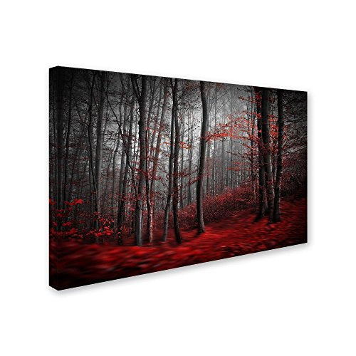 Trademark Fine Art 1X00238-C1219GG Canvas Art, 12 in x 19 in