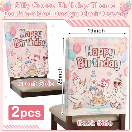Silly Goose Birthday Chair Covers - 2 Pack, 19" x 23" Reusable Decor for Classroom Parties