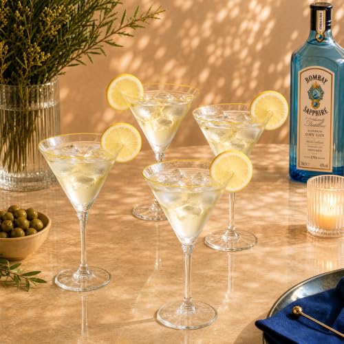 Disposable 10oz Martini Glasses Set with Gold Rim - 12 Pcs