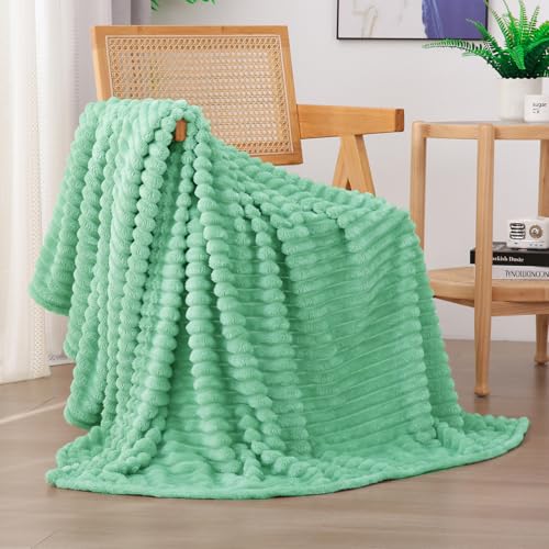 Mint Green Fleece Throw Blanket 50"x60" for Couch & Sofa