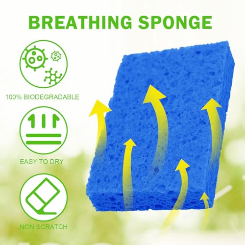 YoleShy 10 Pack Natural Cellulose Kitchen Sponges - Reusable Non-Scratch Dish Scrubbers