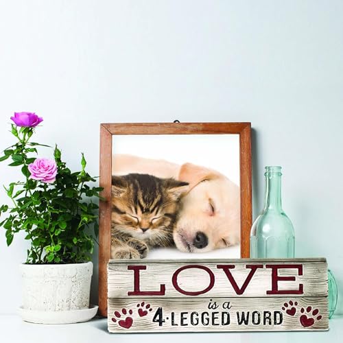 Spoontiques Decorative Desk Sign - 7.75" Fun Home Décor
