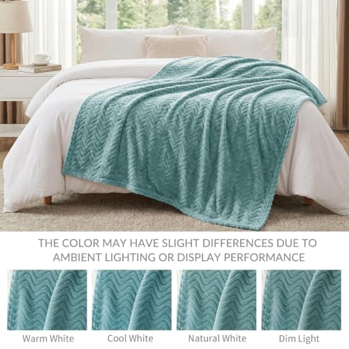 Exclusivo Mezcla Celadon Large Fleece Throw Blanket for Couch & Sofa 50x70 in