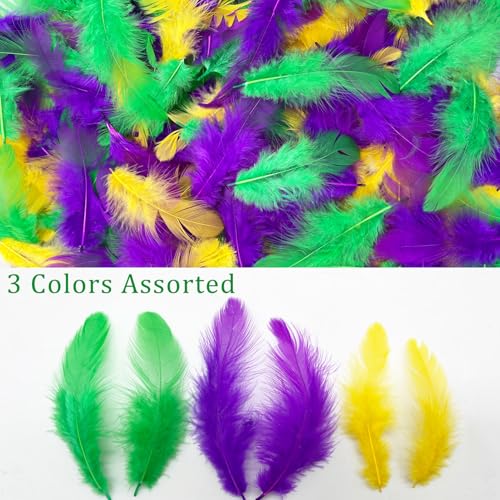 500PCS Assorted Craft Feathers - 3-5 Inch Rooster Feathers for DIY