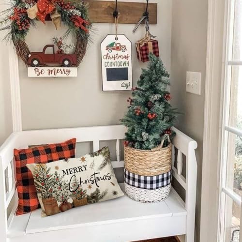 ARGOOGF Waterproof Christmas Outdoor Pillow Cover 12x20 Inches - Eucalyptus Berries Decor, Pack of 1