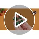 VioraWhite 50 Mini Resin Holly Berry Christmas Ornaments