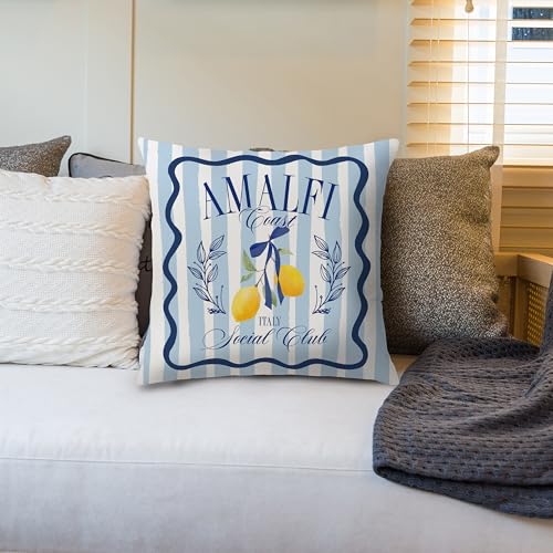 Nipil Blue Coastal Lemon Pillow Cover 18x18 Summer Mediterranean Decor