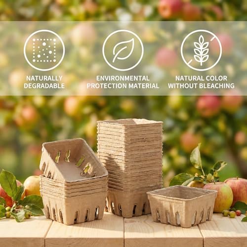 15 Pack Compostable Berry Baskets - Small Vented Produce Storage