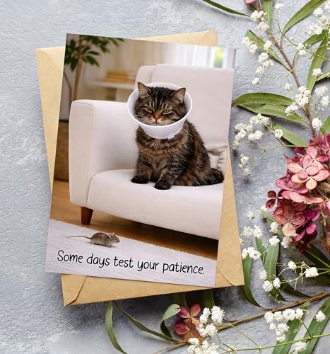 Funny Get Well Soon Card - Grumpy Cat Design, 5x7 with Envelope