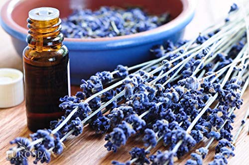 Eucalyptus Oil Yoga Mat Cleaner & Deodorizer - 2oz Lavender Infusion
