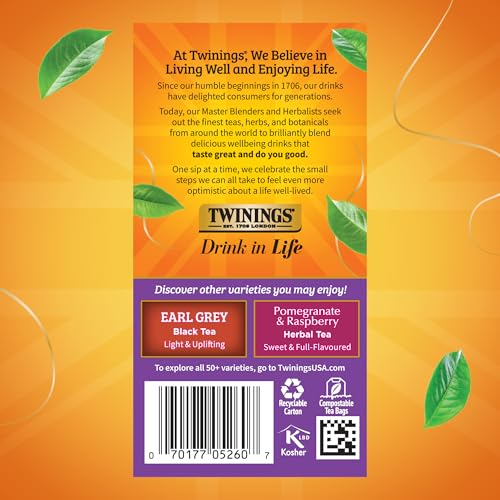 Twinings Blackcurrant Breeze Black Tea Bags - Caffeinated Fruity & Tangy, 120 Count Pack of 6
