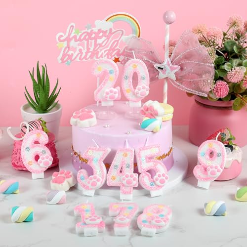Pink Number 1 Dog & Cat Birthday Candle with Paw Print Cake Topper