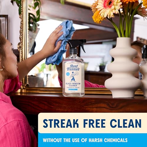 Aunt Fannie's Glass & Window Cleaning Bundle with Spray and 2 Wipes