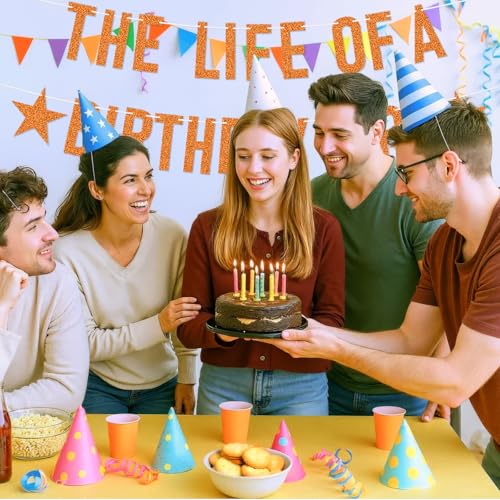 Life of a Birthday Girl Party Decor Banner - Showgirl Theme